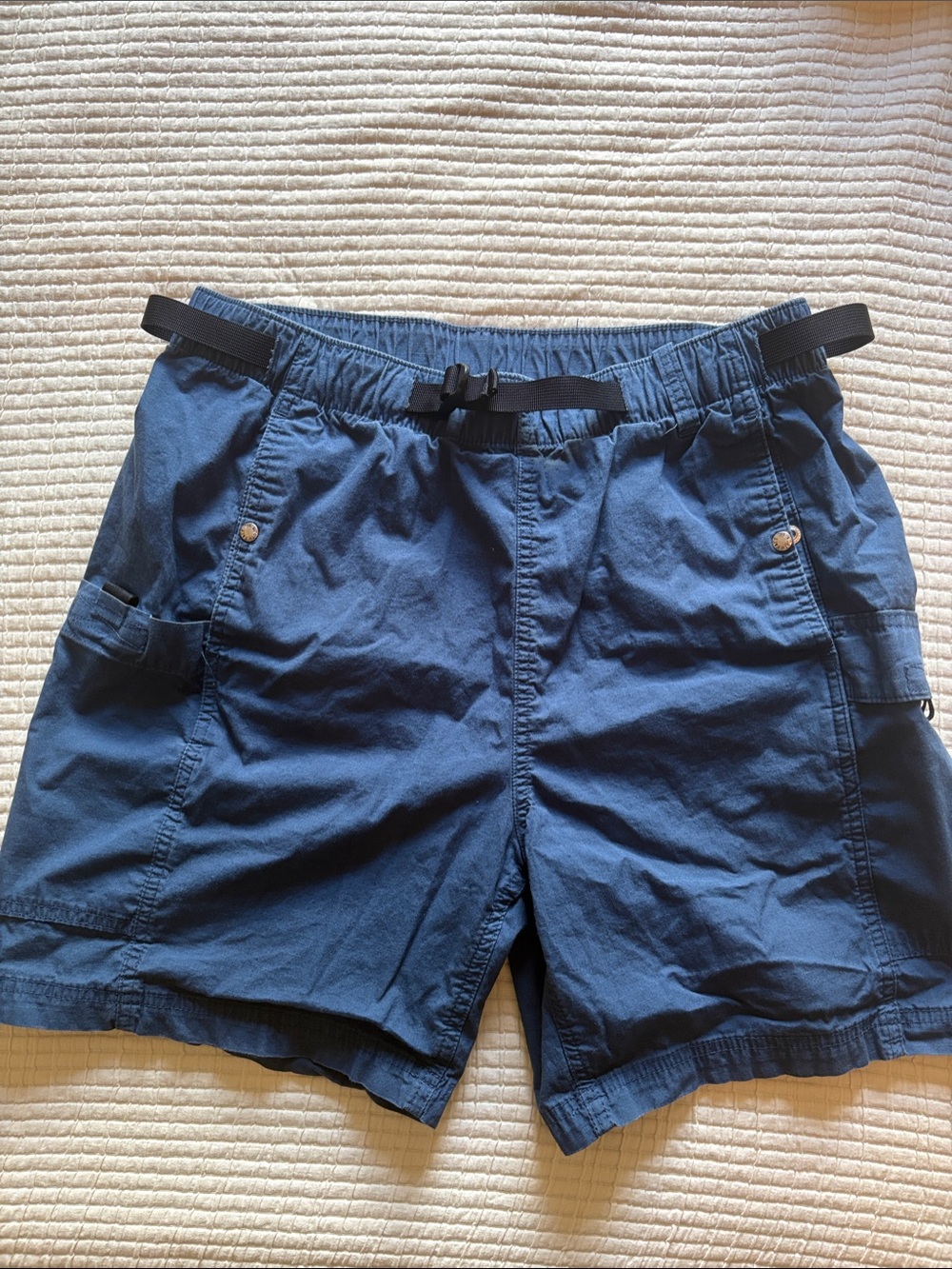 The North Face Men's Paramount Hiking Shorts